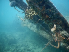 One of the wrecks