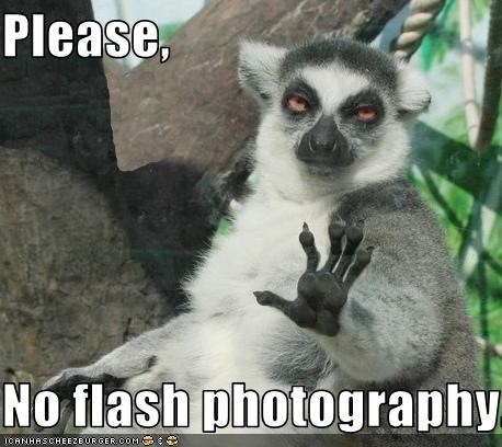 flash photography
